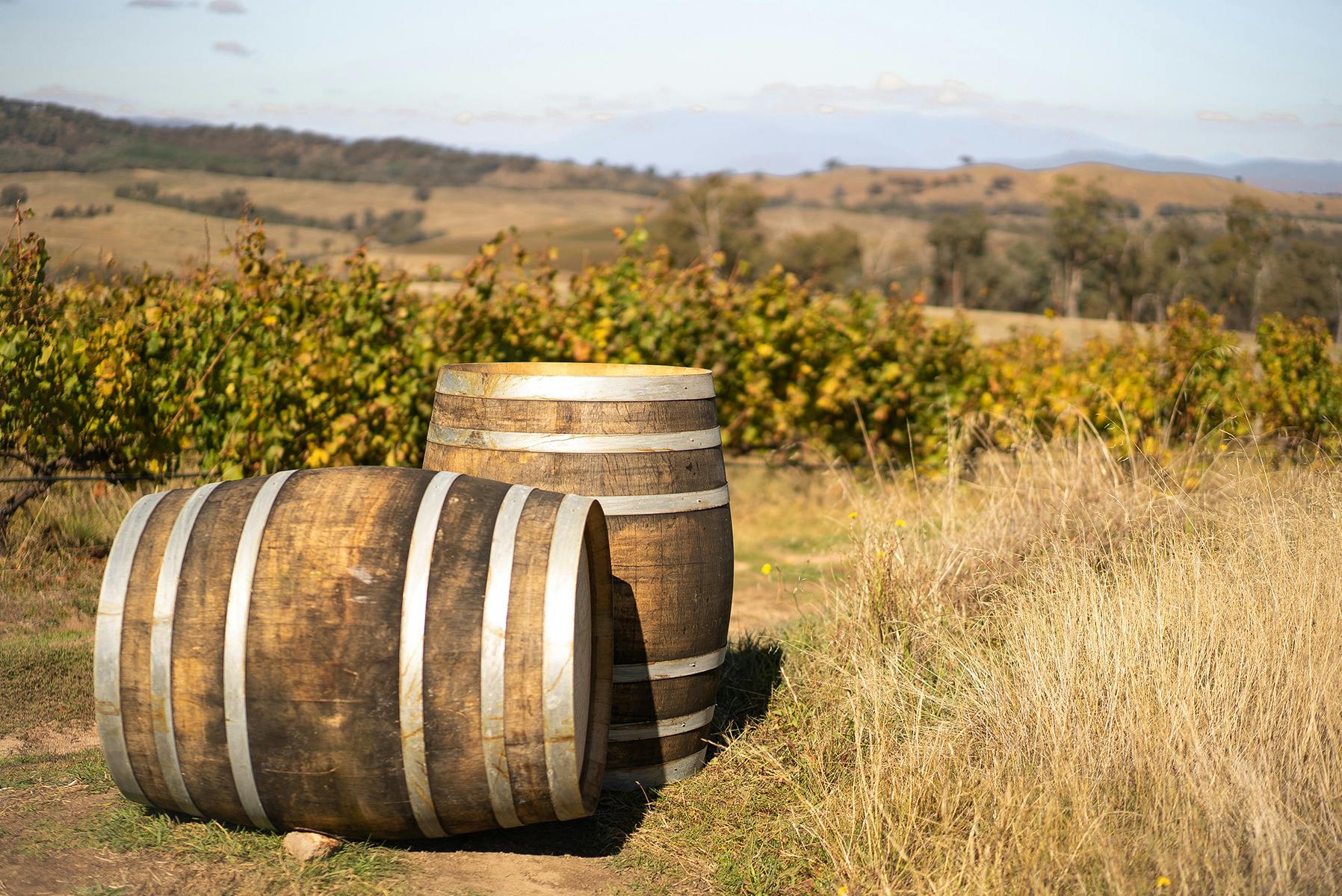 Beechworth Wine Barrels
