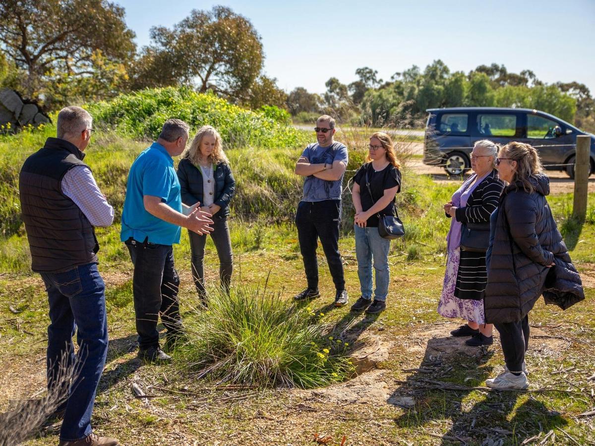 Bendigo Chinese History Tours