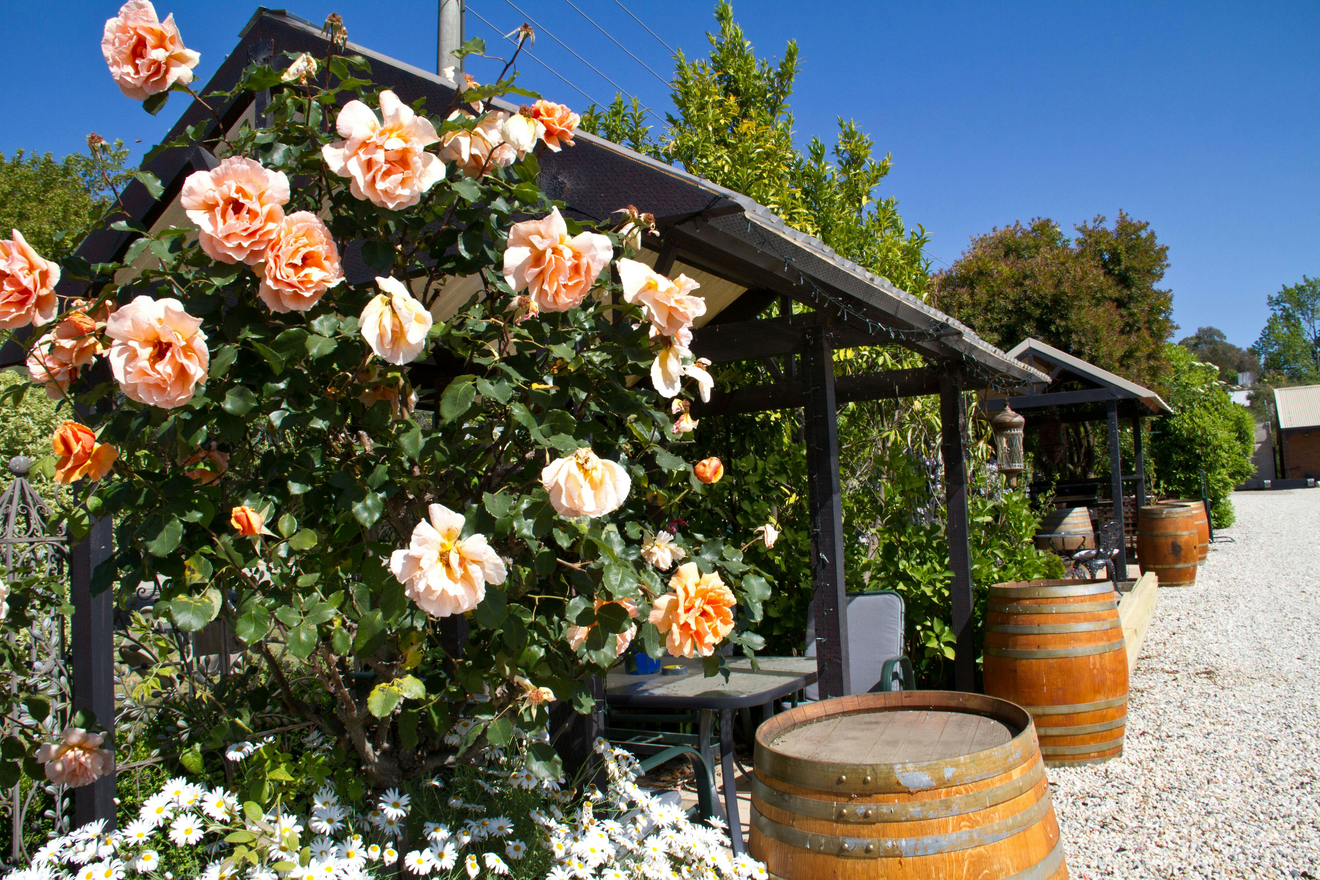 Snapshot of our gardens