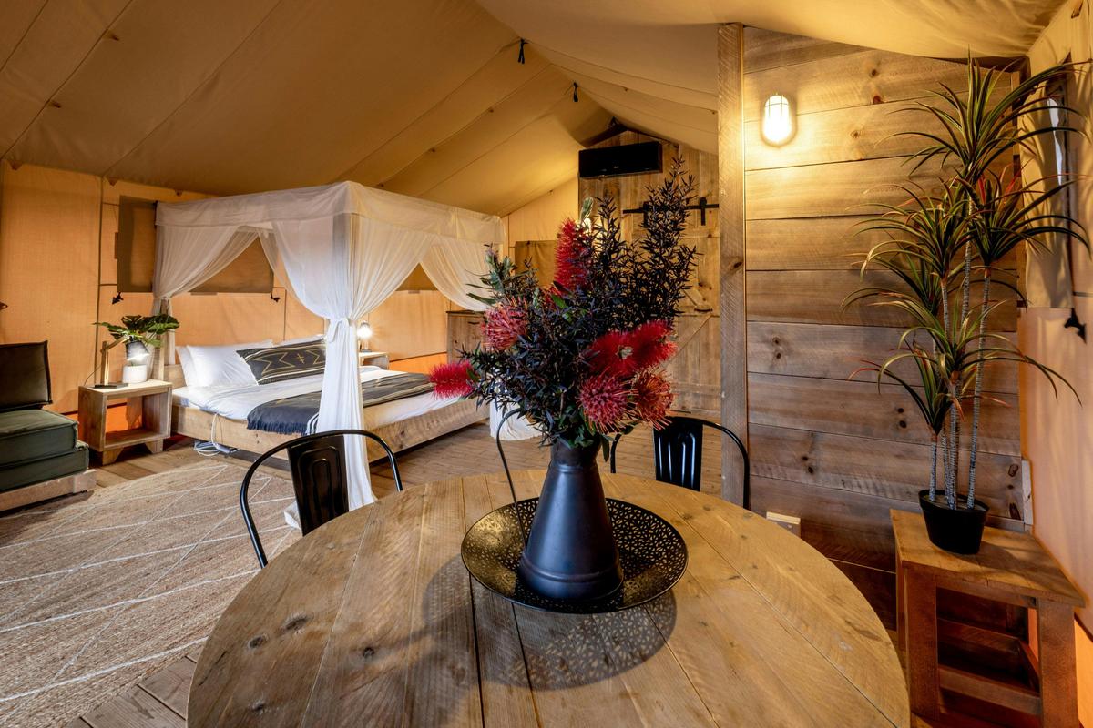 Glamping Safari Tent