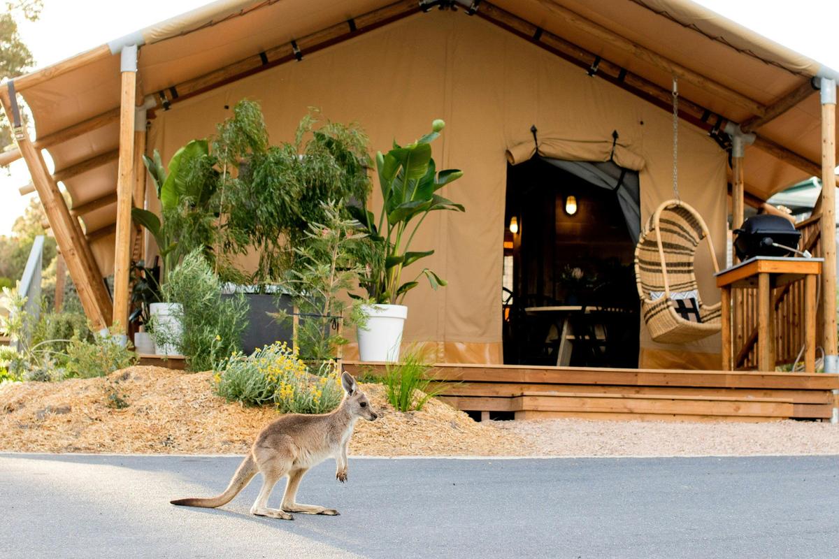 BIG4 Anglesea Holiday Park