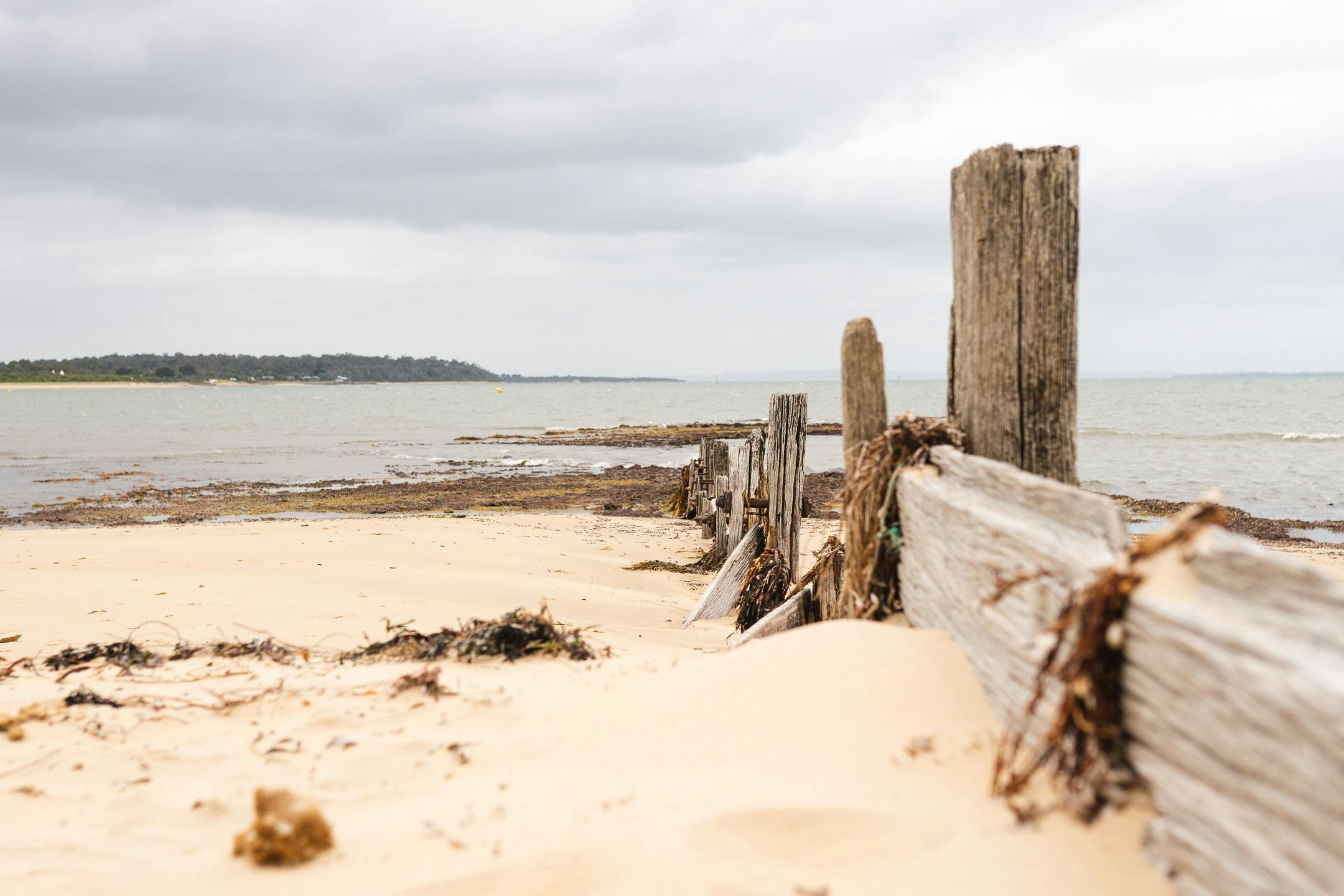 Balnarring Beach Shot