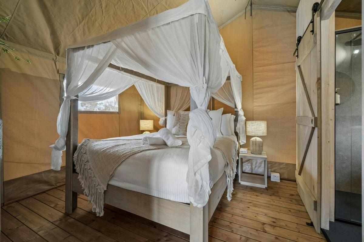 Family Safari Tent