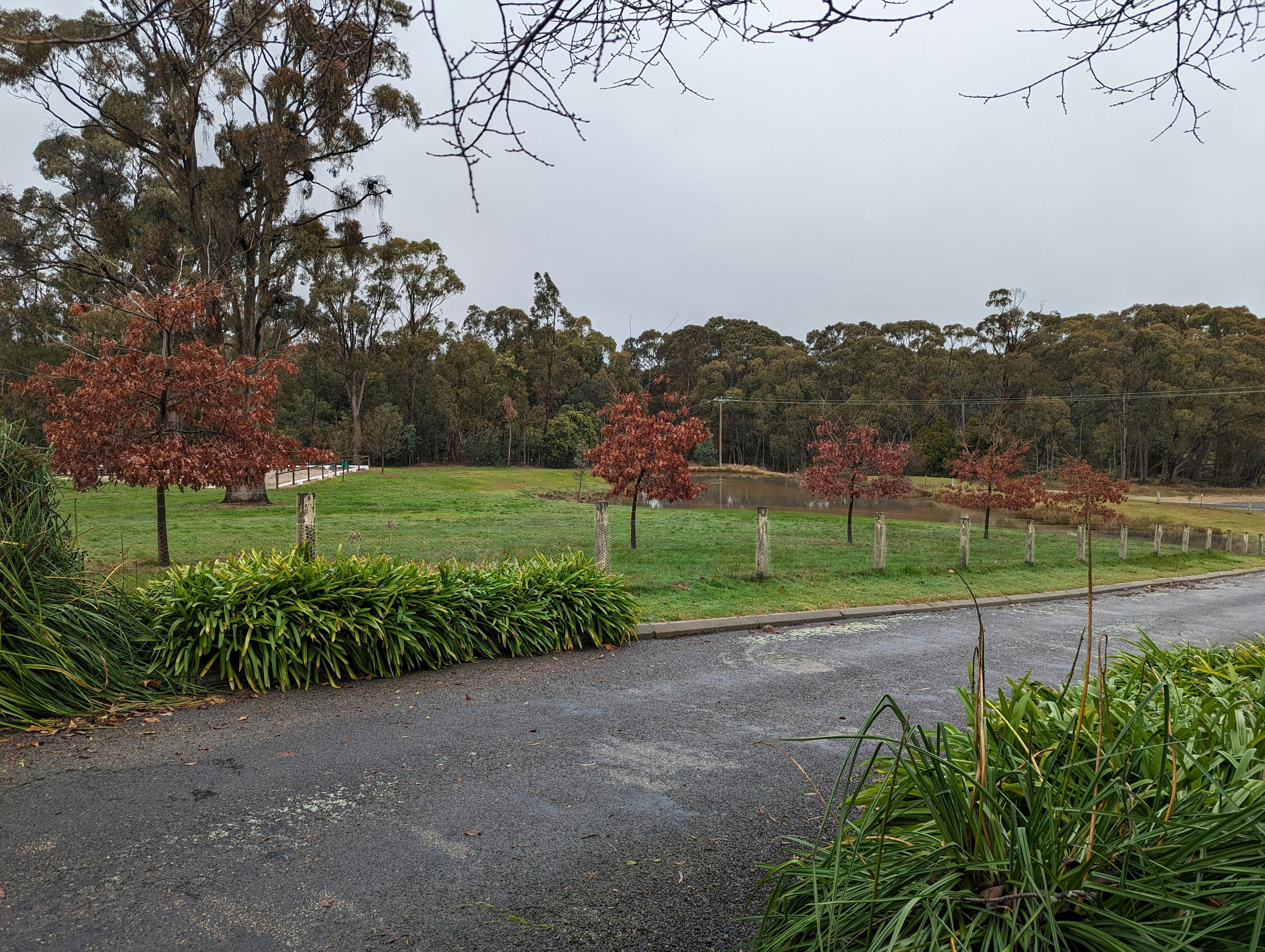 Beechworth Farm Stay driveway