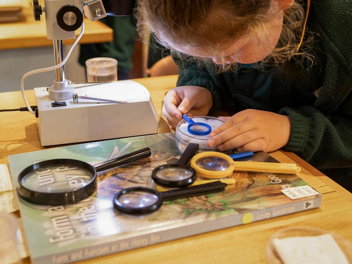 Kids Bee Workshops at Bee School