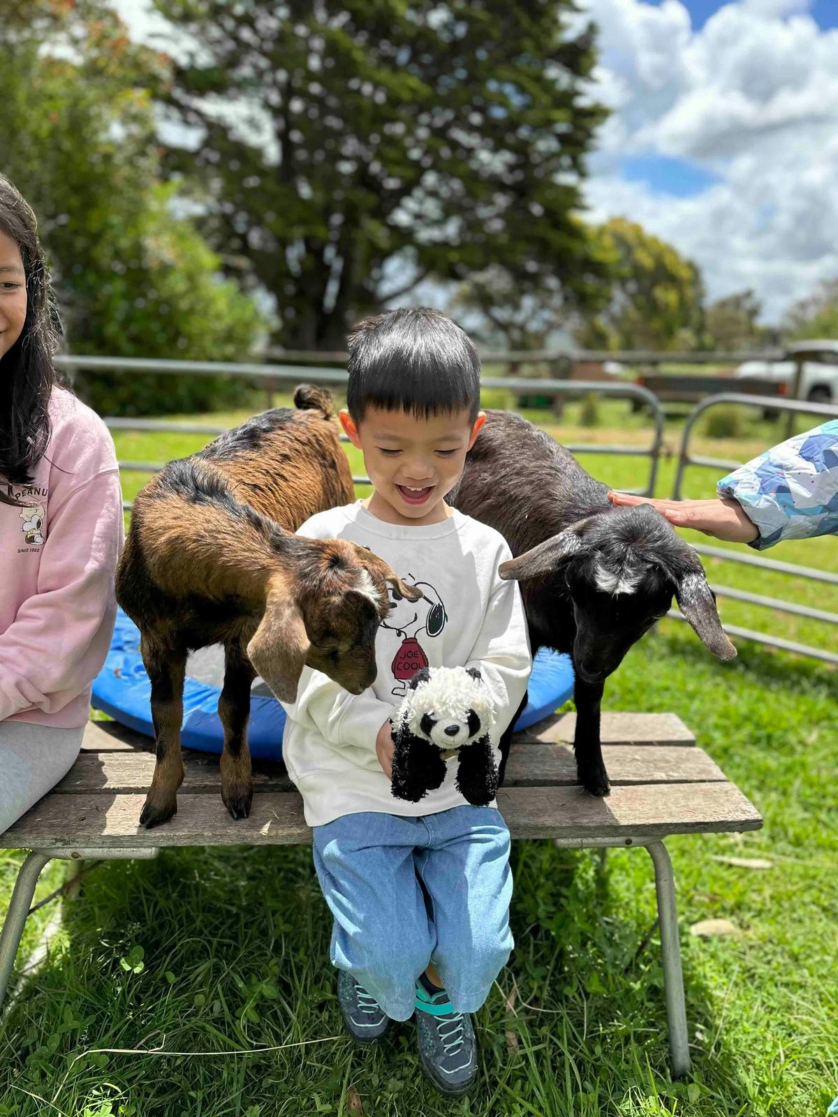Guest with goats Simon & Garfunkle