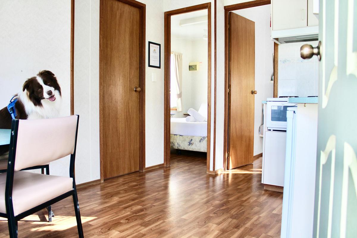 Pet Friendly Cabin