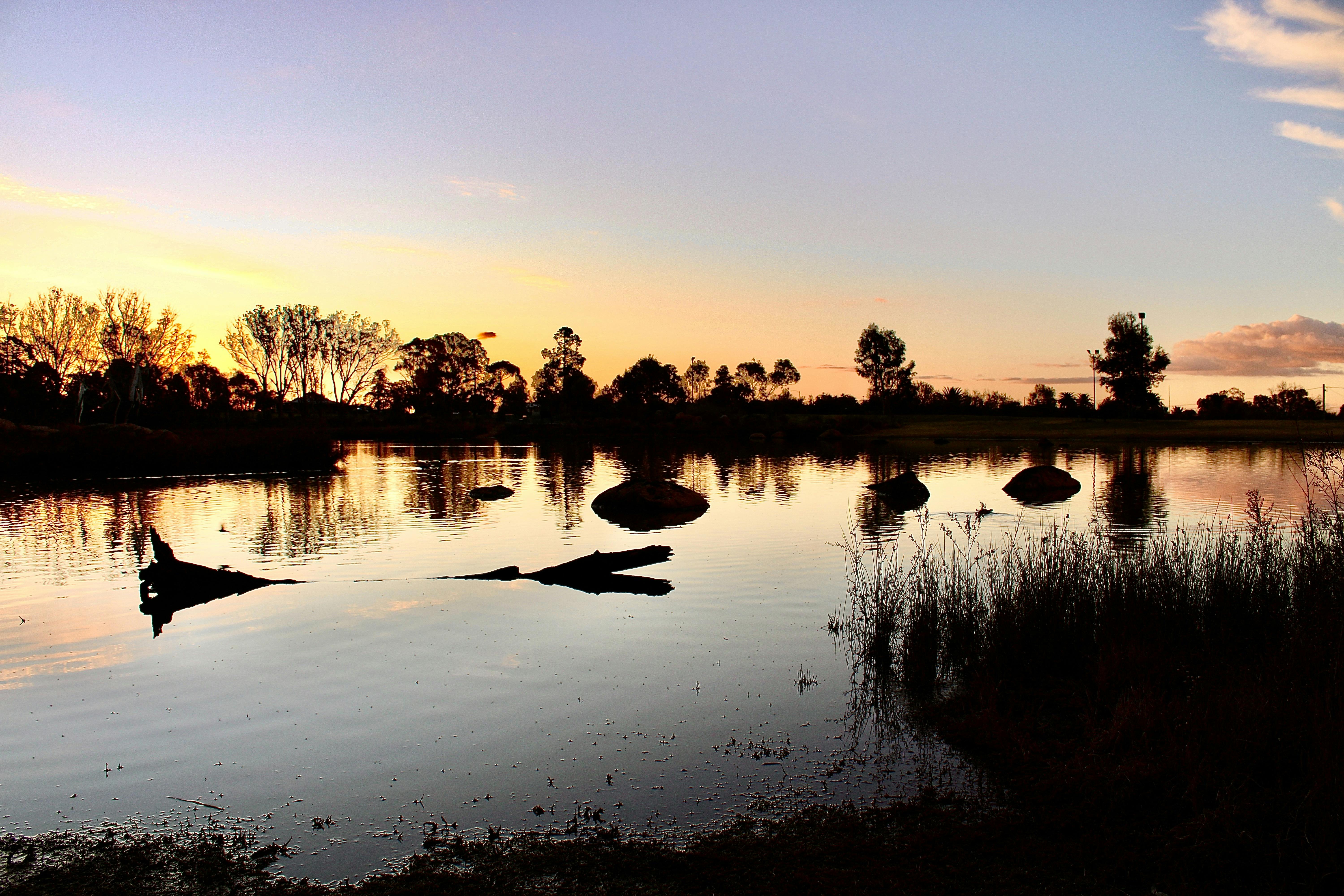 Sunset at Lake King Wetlands