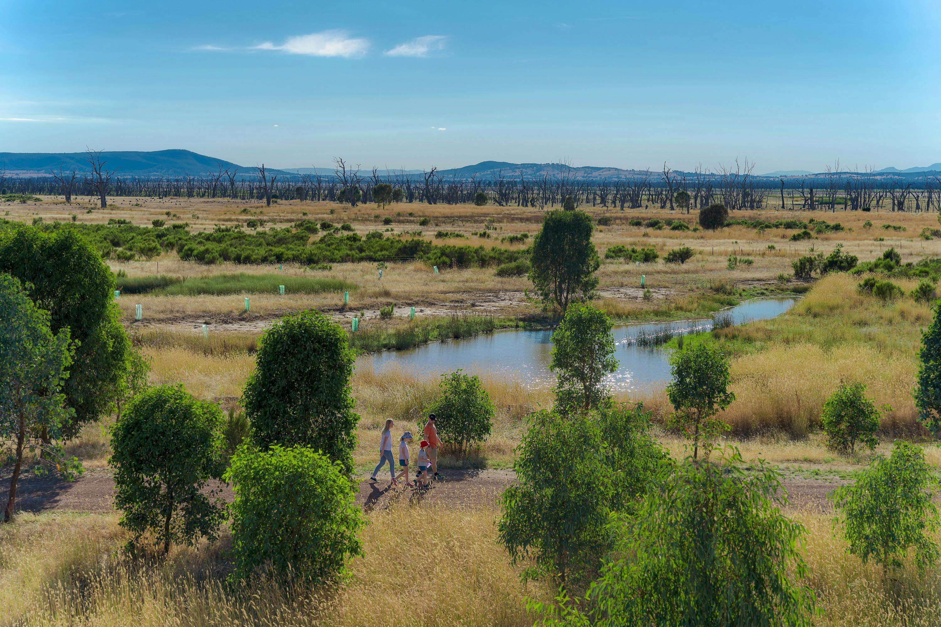Winton Wetlands Ponds Walk, Benalla