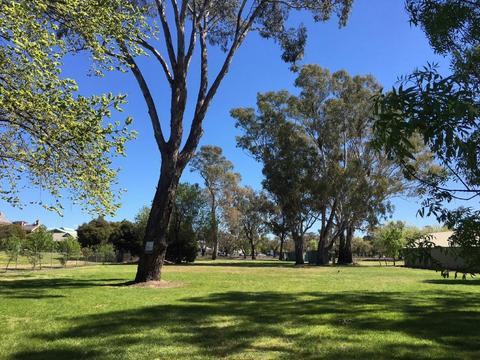 Benalla Showgrounds Caravan Park