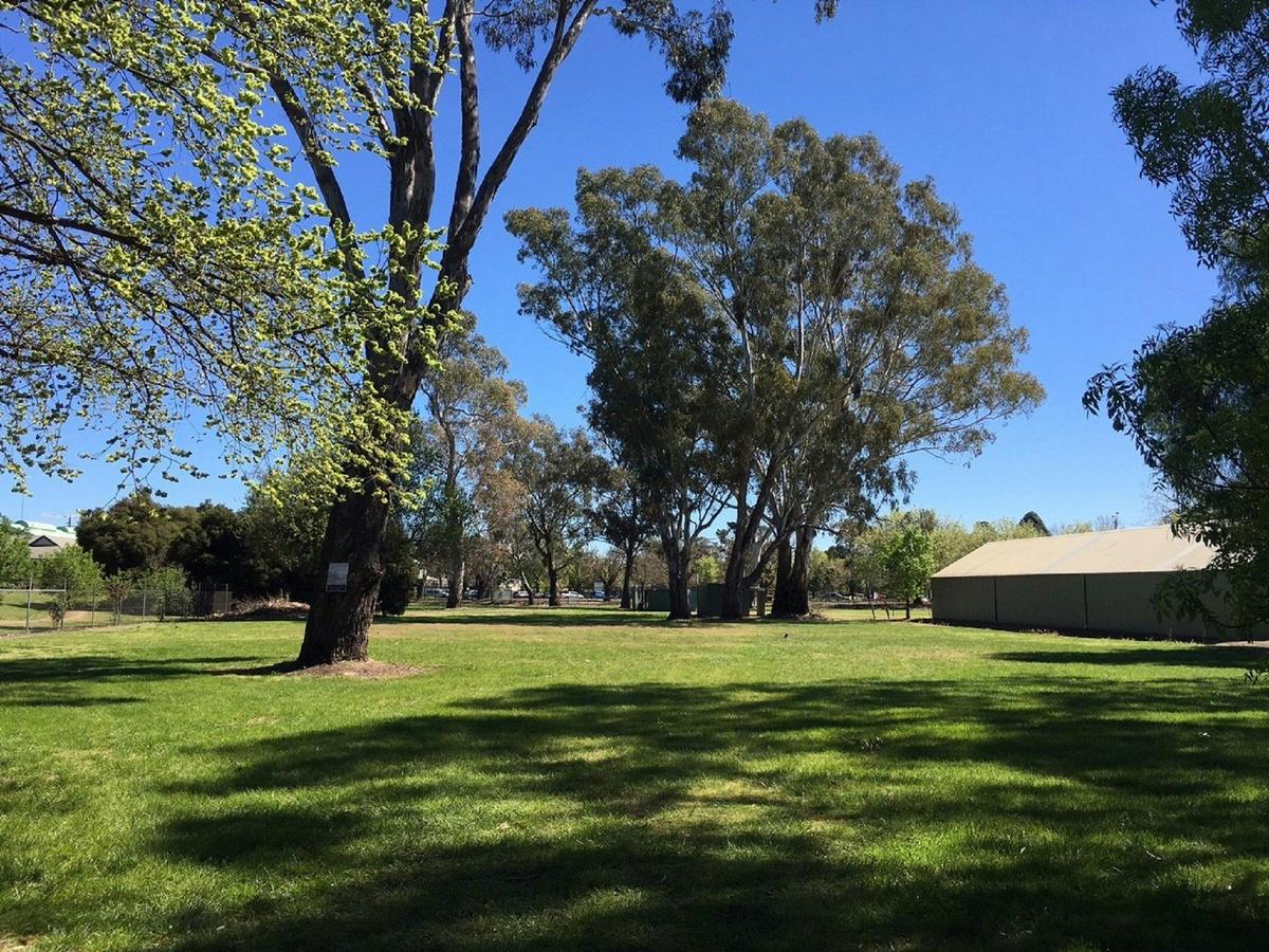 green grass