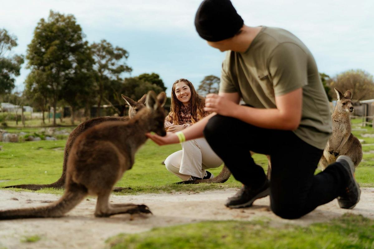 a person feeding a Kangaroo while another person smiles