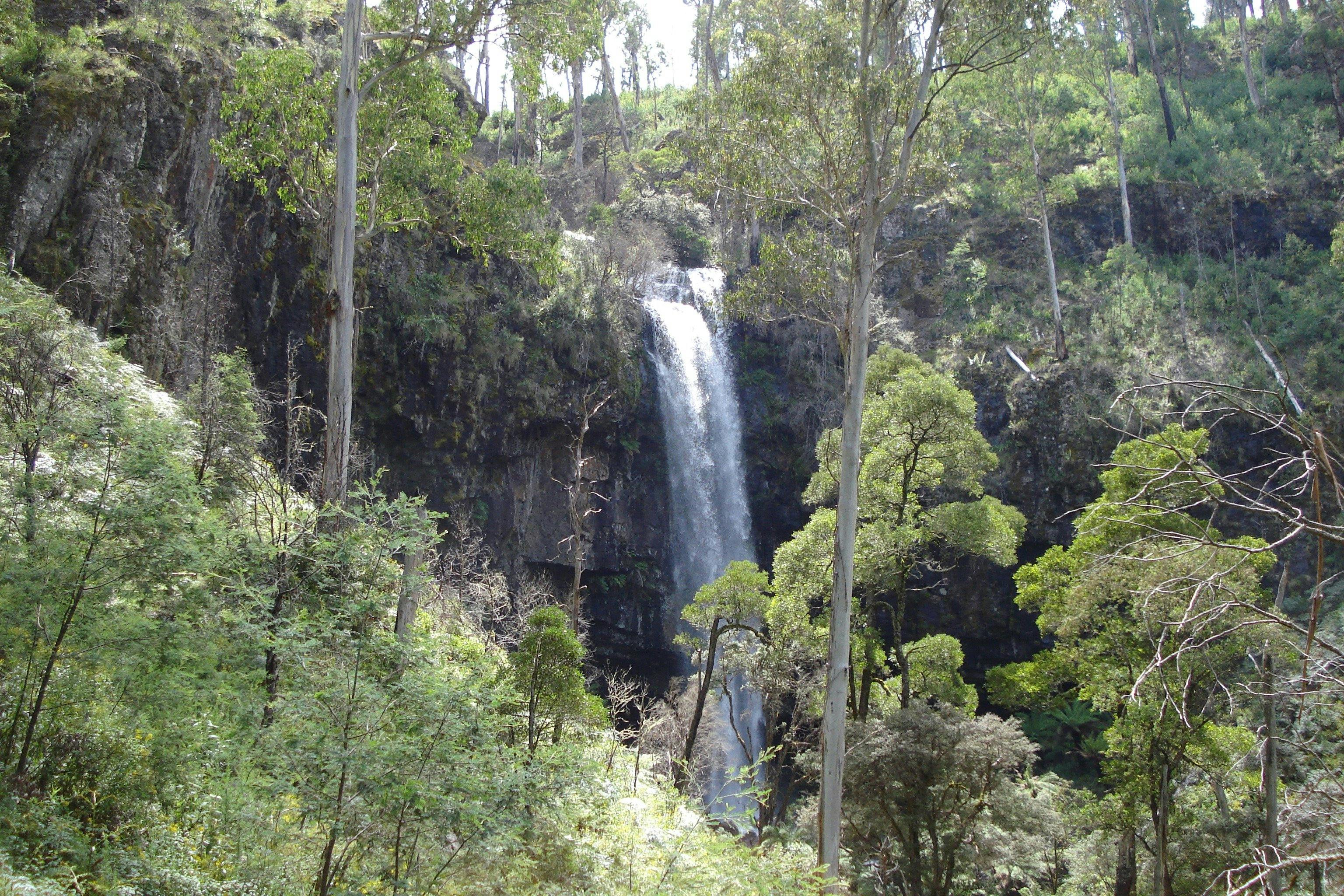 Bindaree Falls