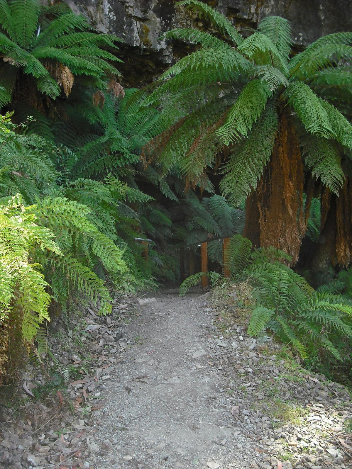 Bindaree Falls