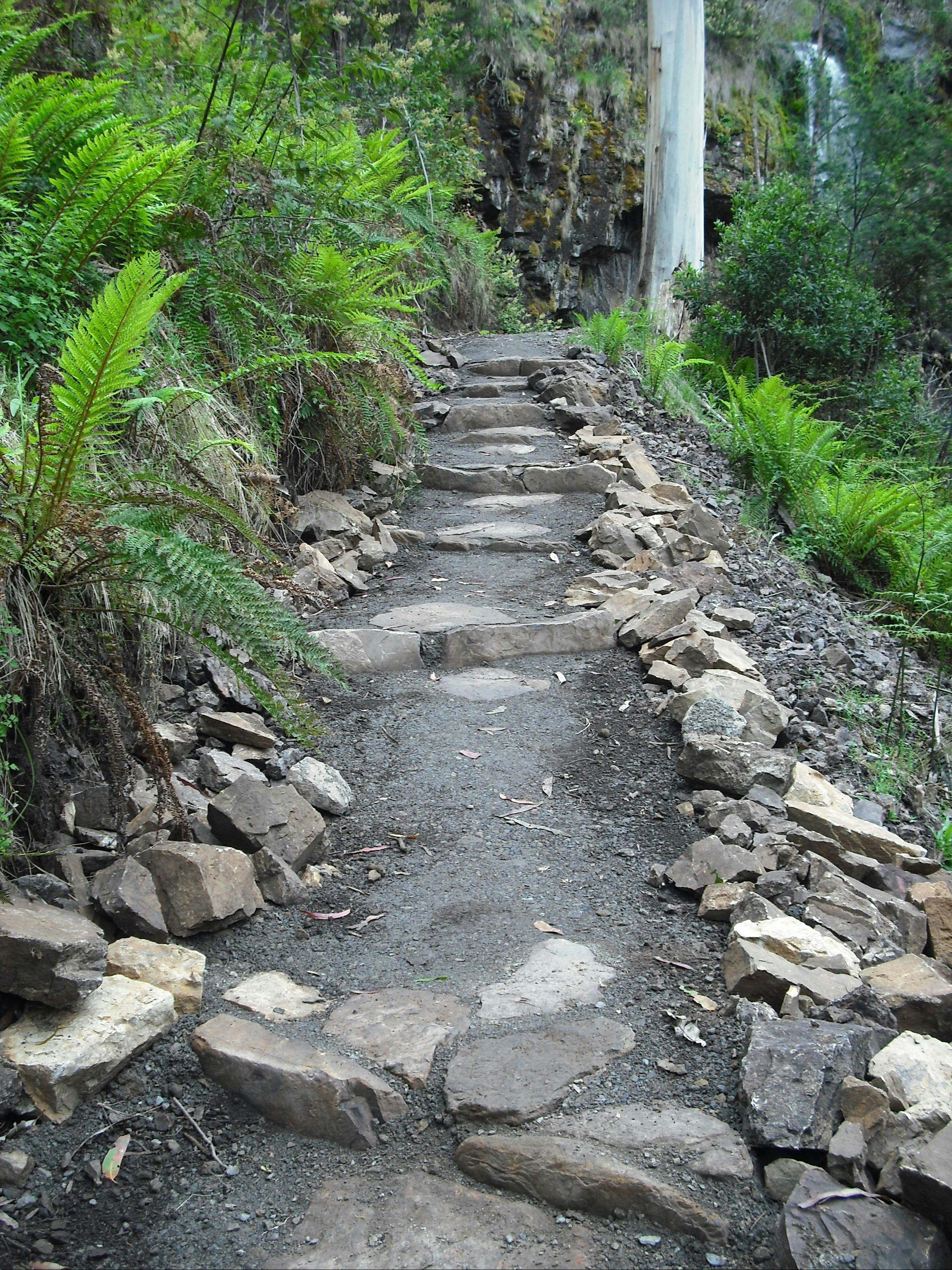 Walking track to Bindaree Falls