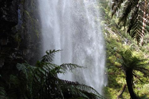 Bindaree Falls