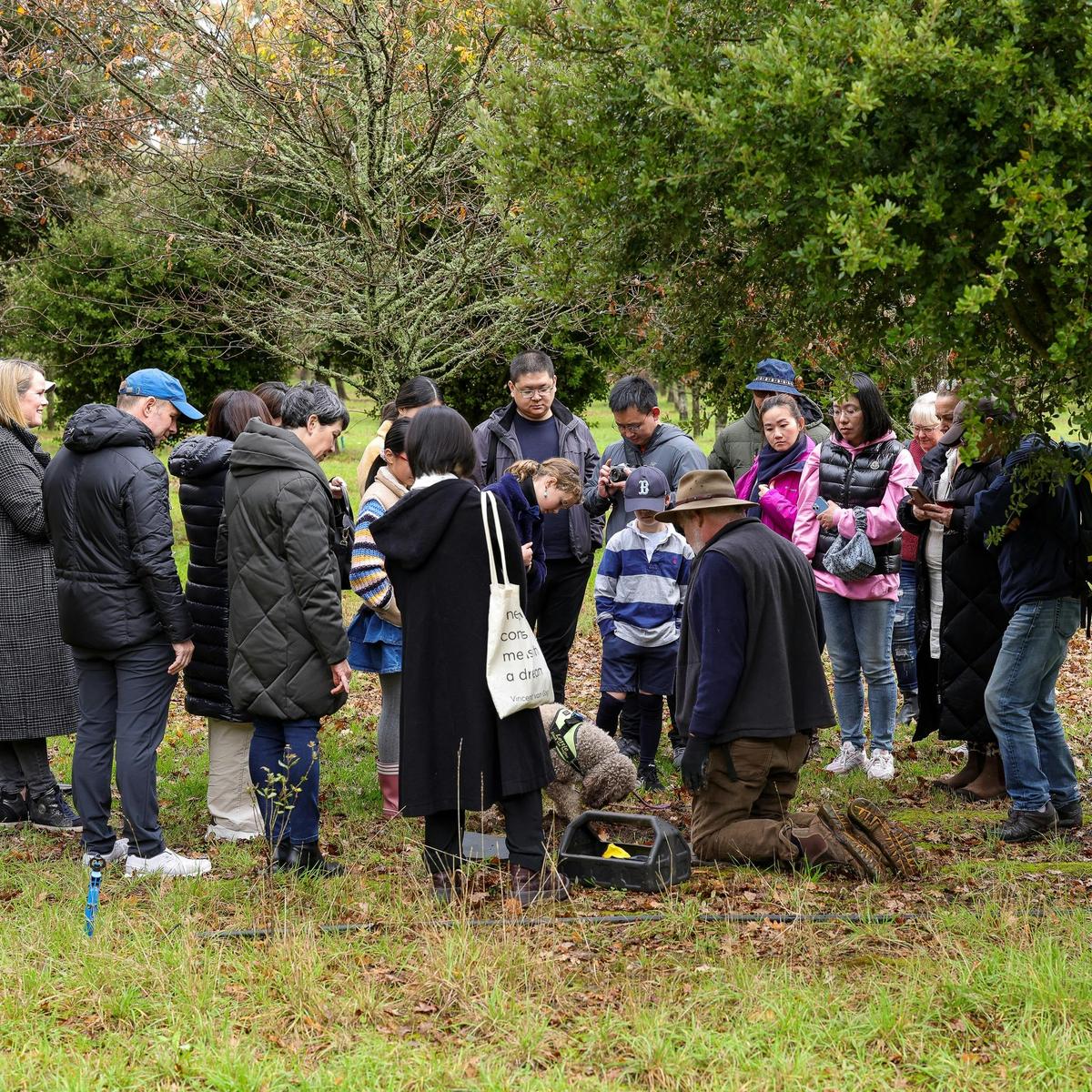 Digging up a truffle