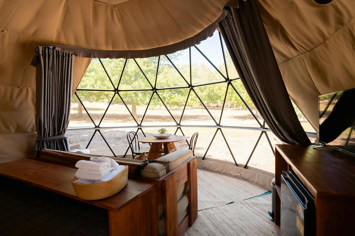 View from inside a glamping GeoDome