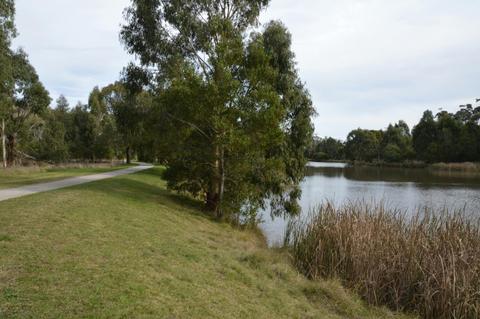 Birdsland Reserve