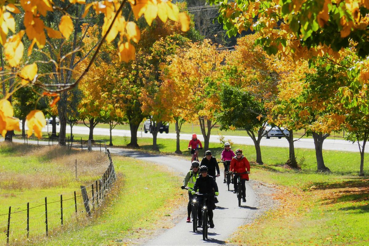 On the Rail Trail to Bright