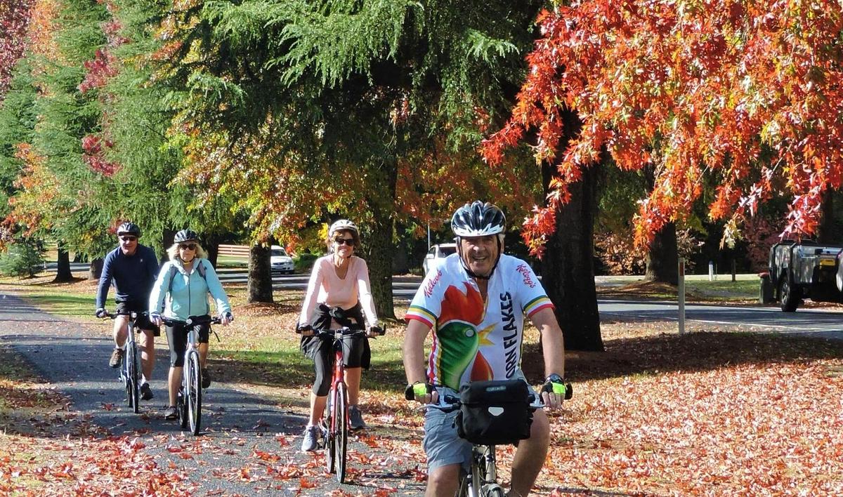 Itineraries are set for the the best seasons for cycling