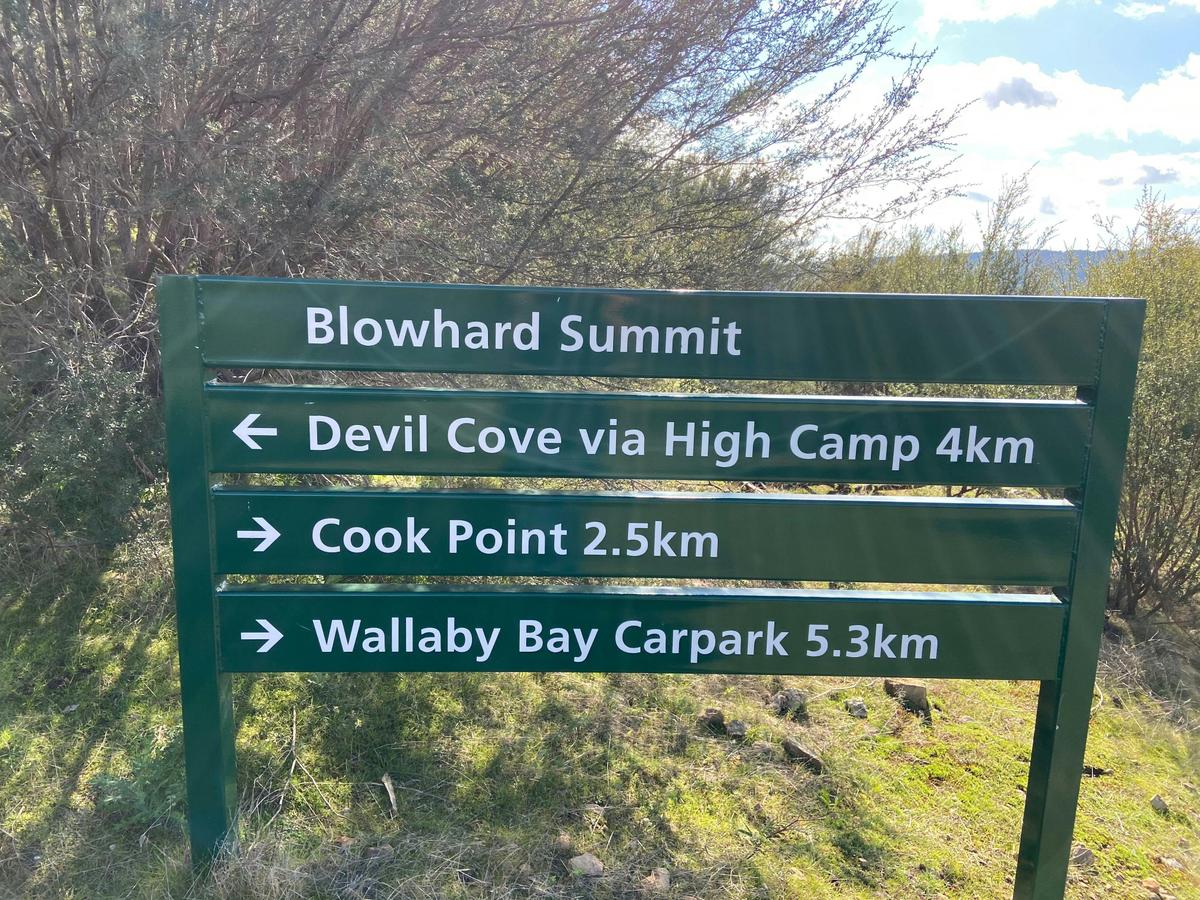 Blowhard Summit