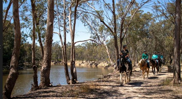 Billabong Ranch Adventure Park