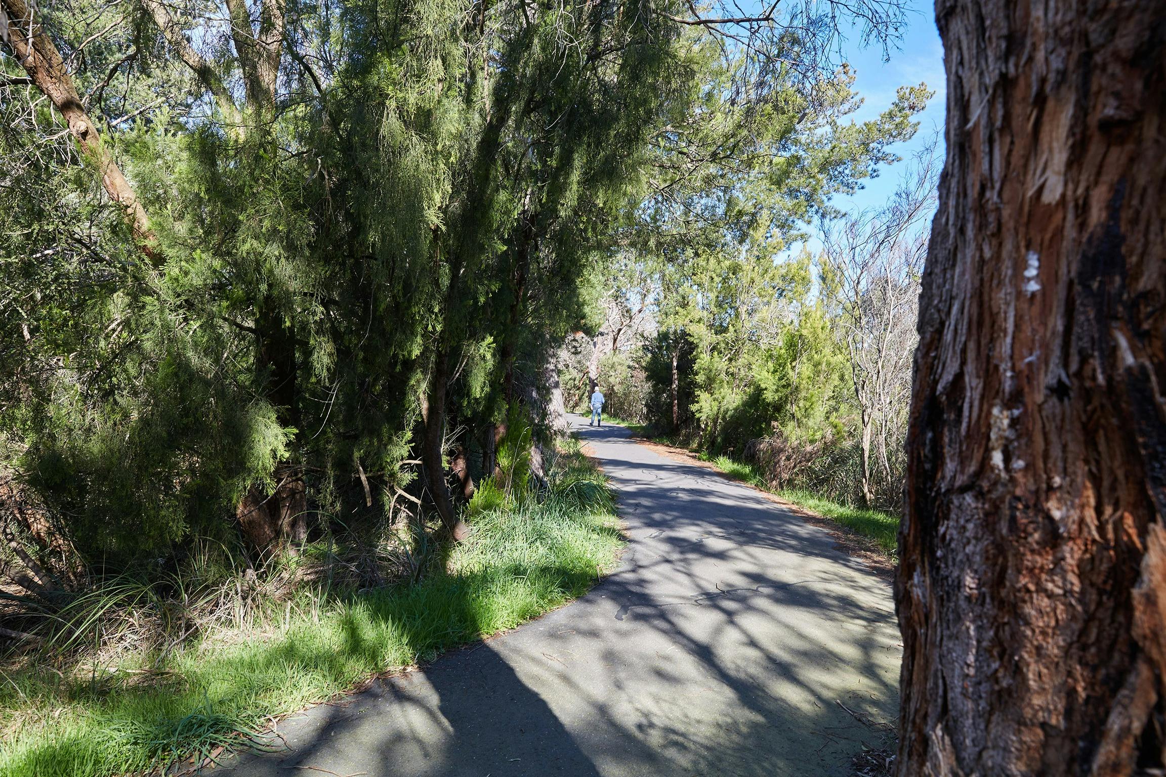 Bittern Trail (part of the Western Port Bay Trail)