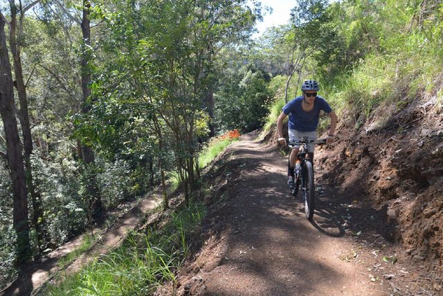 Hornsby Mountain Bike Trail