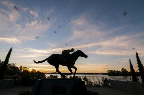 Black Caviar Statue