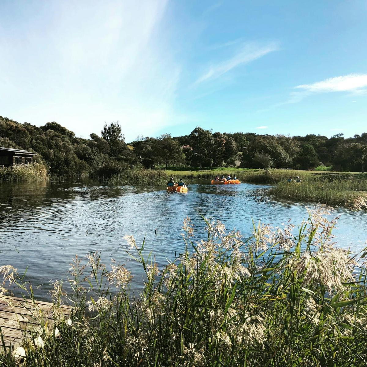 Boneo Maze Pedal Boats