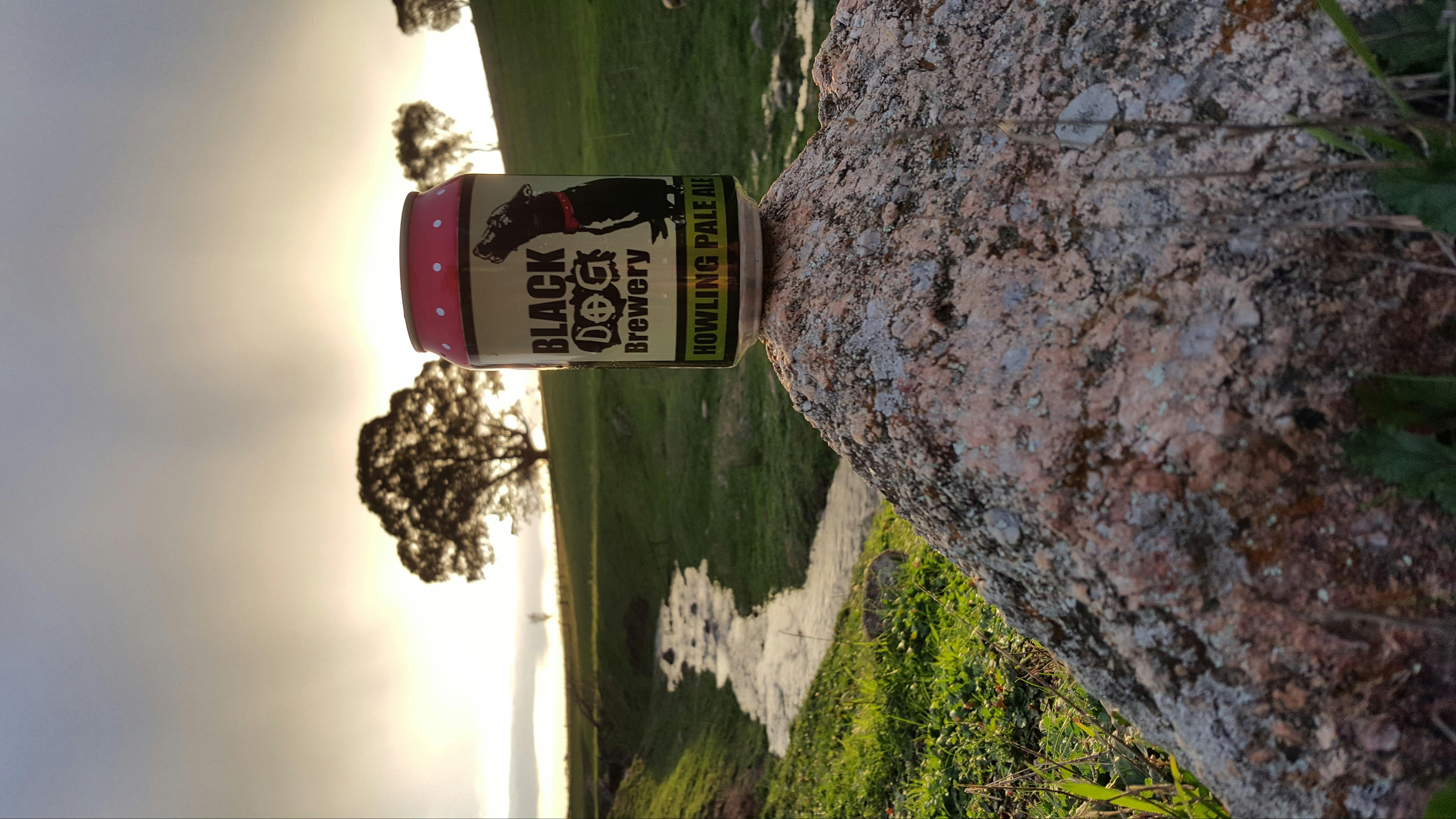 Howling PAle crafted with pure Warby Range Water