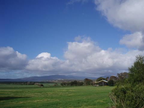 Black Cockatoo Cottages