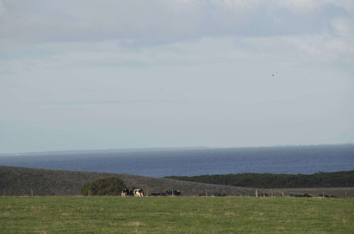 Black Cockatoo Cottages
