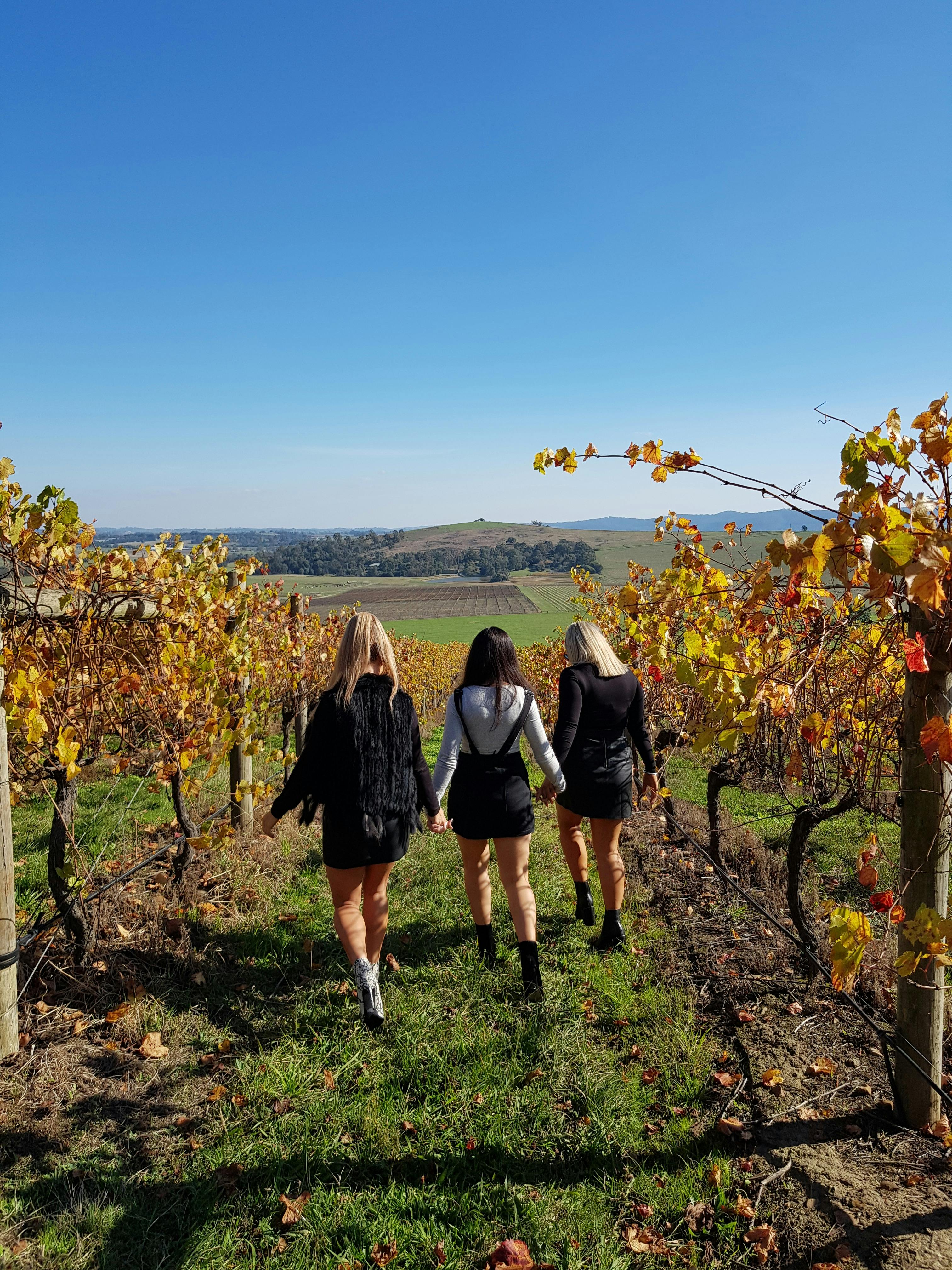 Yarra valley private wine tour vineyard walk