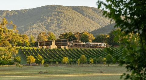 Boat O'Craigo Wines
