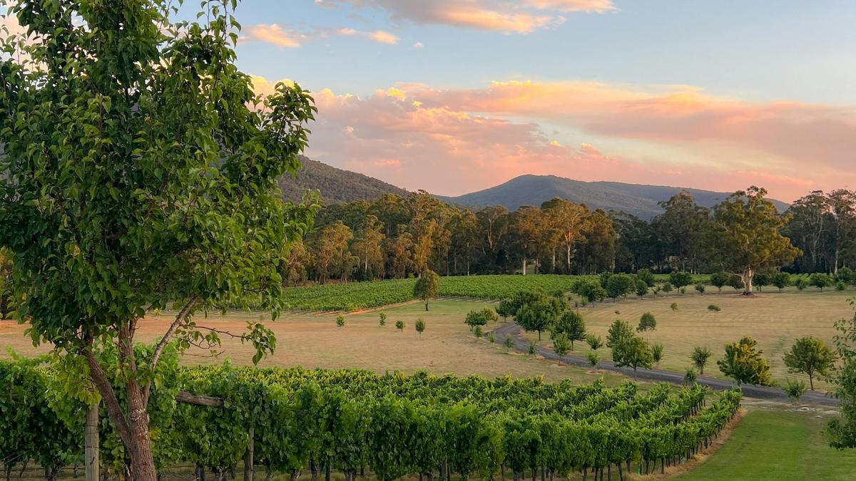 Boat O'Craigo Wines