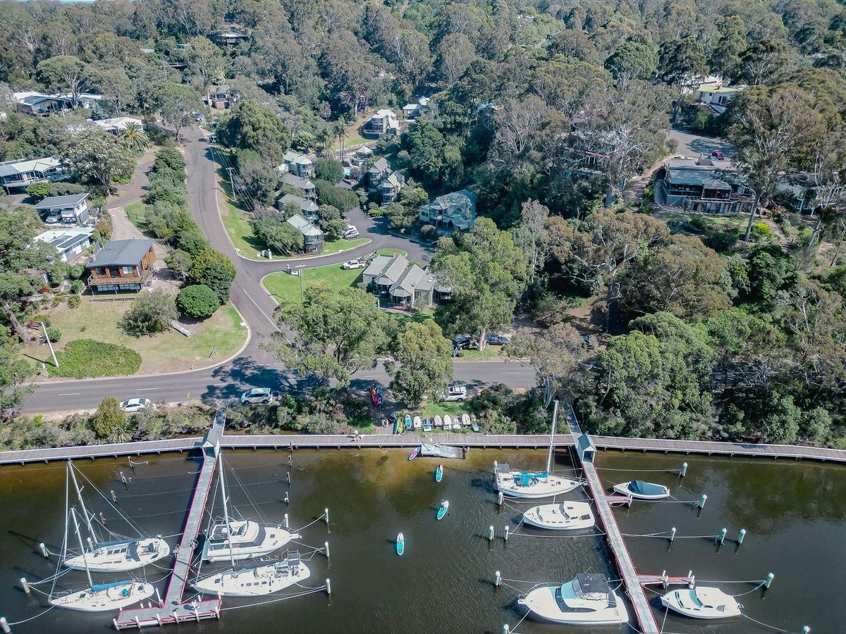 Birds view