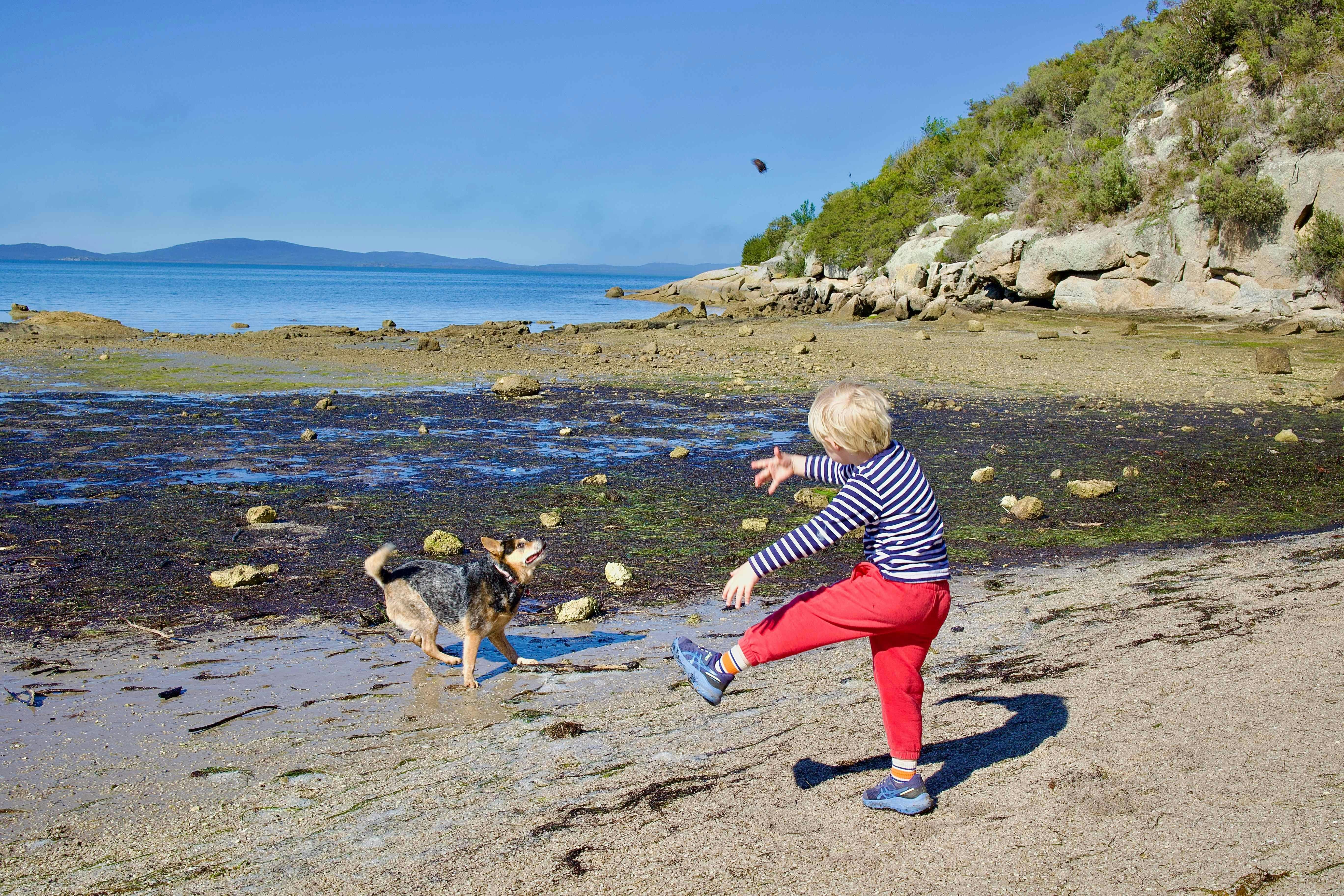 Pet Friendly Camping