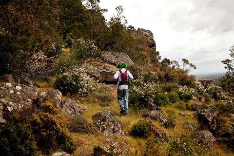 Black Range State Park