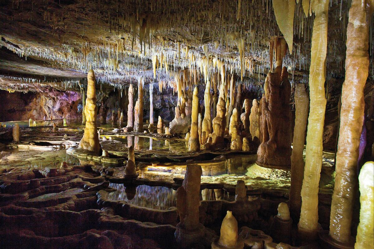 Buchan Caves Reserve