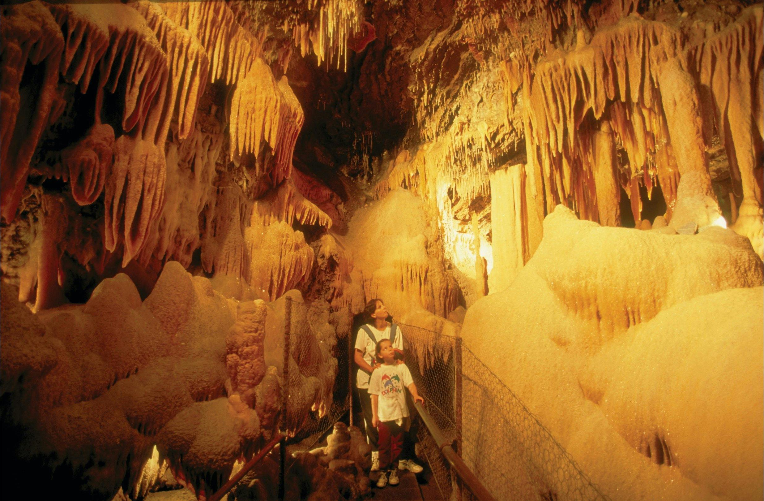 Buchan Caves Reserve