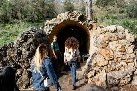 Buchan Caves Reserve