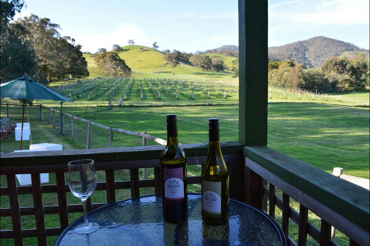 Looking out from the deck of the Blue House
