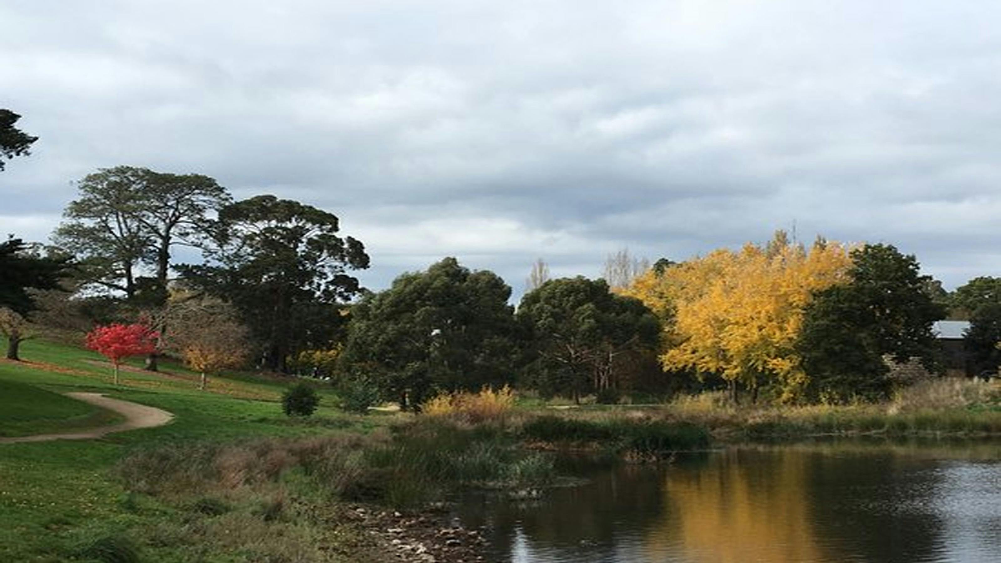 Pond with green and yellow trees in background with grassy hill and path to the left