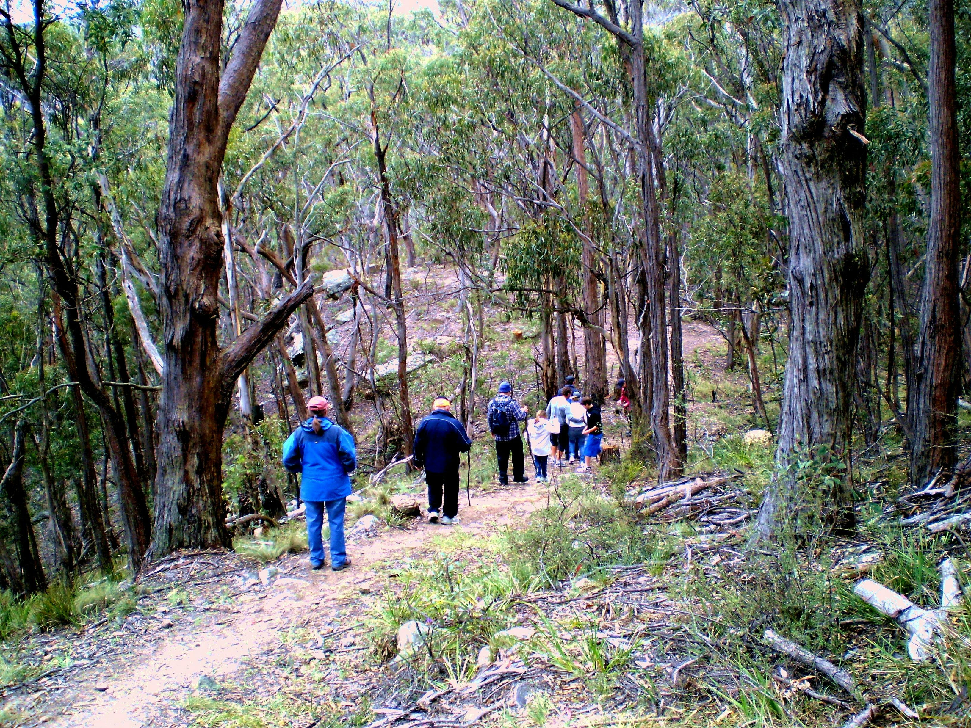 Walking Cox's Pass from Mt York
