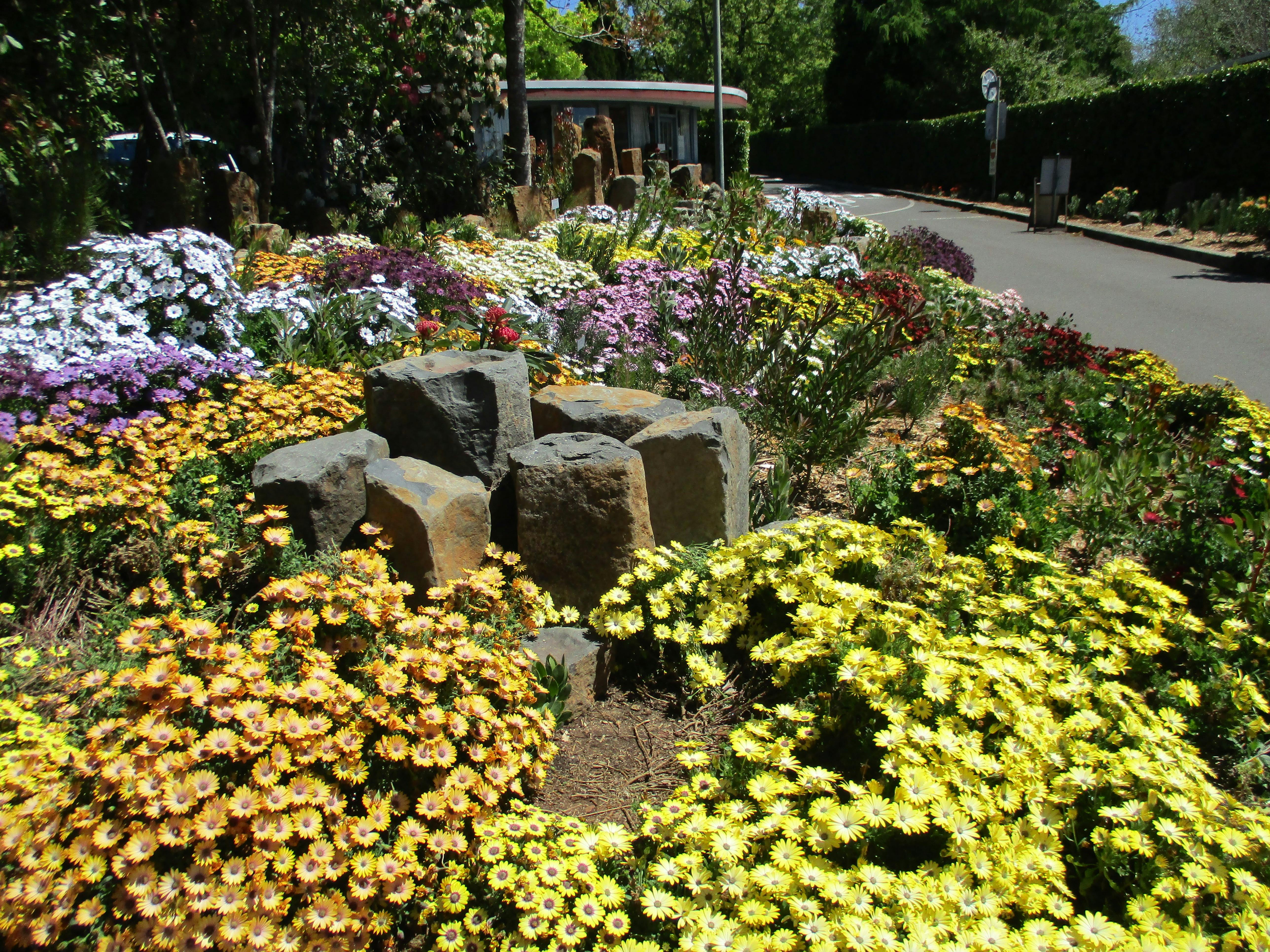 The entrance to Blue Mountains Botanic Garden Mt Tomah