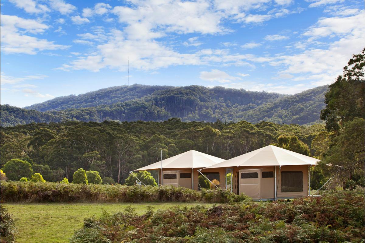 Cave Hill Creek Glamping Village