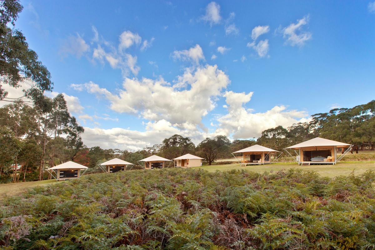 A stunning natural setting for your glamping experience