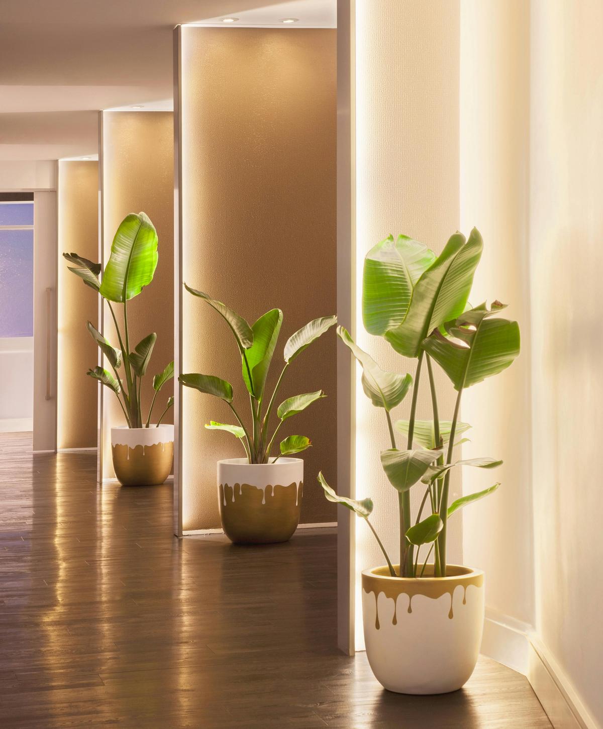 Botanica Wellness Spa and Clinic